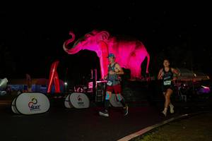 BIB: 
                            <button type="button" onclick="openModal(26543210)" class="btn btn-primary btn-sm float-right btn-popup" data-toggle="modal" data-target=".modal-high-quality">
                        <i class="fas fa-shopping-cart"></i> Add to Cart
                    </button>
                                            <button type="button" onclick="isThisMe(26543210, true)" class="btn btn-success btn-sm float-right btn-popup btn-isme hidden" data-toggle="tooltip" data-placement="bottom" title="นี่คือรูปของคุณใช่ไหม คลิกที่นี่เพื่อเอาเข้าอัลบั้ม">
                        <i class="fas fa-plus"></i> Add to album
                    </button>
                    <button type="button" onclick="isThisMe(26543210, false)" class="btn btn-warning btn-sm float-right btn-popup btn-isnotme hidden">
                        <i class="fas fa-ban"></i> Remove from album
                    </button>